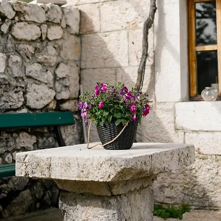 Jozini Dvori Holiday home Krstatice