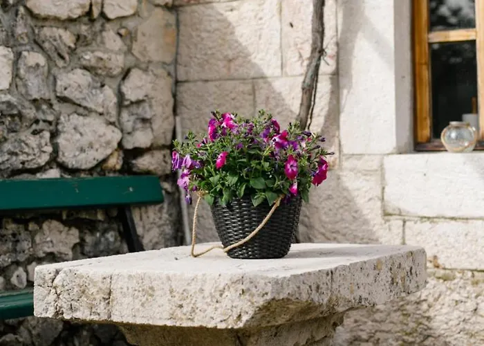 Jozini Dvori Сasa de vacaciones Krstatice